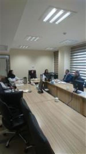 جلسه داخلی کارگروه دانش داروسازی با صنایع مرتبط برگزار شد