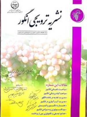 فراخوان ارسال مقالات ترویجی نشریه انگور